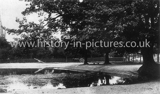 Pond next to High Road, Buckhurst Hill, Essex. c.1916